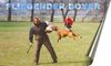 Boxer Foto: fliegender Boxer (ID 29045) Boxer Hund