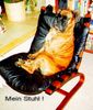 Boxer Foto: Mein Stuhl ! (ID 34163) Boxer Hund