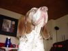 Bracco Italiano Hund