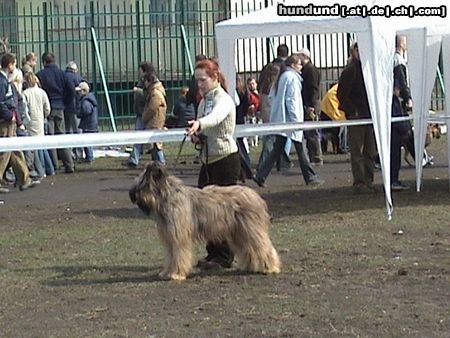 Briard Hunde Foto 5437 Briard Gosse z Krainy Mgiel