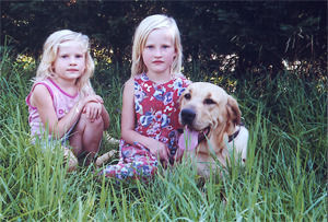 Broholmer Hunde Foto 29866 in höherer Auflösung ansehen Broholmer Audhumla