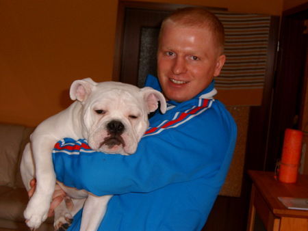 Bulldog Hunde Foto 30423 in höherer Auflösung ansehen Bulldog Dollar