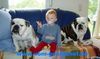 Bulldog Foto: Wilma und Beebob vom Georgshof (ID 21359) Bulldog Hund