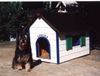 Bulldog Foto: Iloscha de Marotte (ID 17059) Bulldog Hund