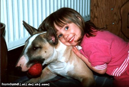 Bullterrier Hunde Foto 8815 Bullterrier ich bin doch nicht böse, oder???