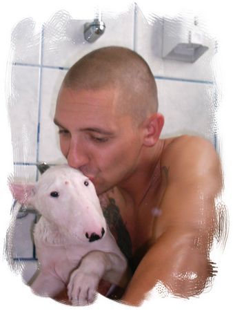 Bullterrier Hunde Foto 31860 in höherer Auflösung ansehen Bullterrier Mein Schatz mit Emmaaaaa - blubbblubbb !