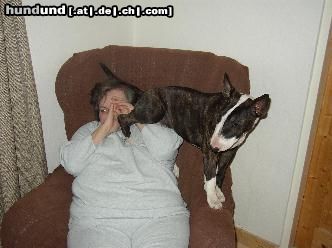 Bullterrier Hunde Foto 3862 Bullterrier lola mit meiner oma *gg*