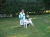 Bullterrier Foto: Bullterrier sind kinderlieb!!!!! (ID 1869) Bullterrier Hund