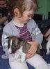 Bullterrier Foto: Naomi (4 Jahre) und Sherman Aisbornes Belissima (miniature Bullterrier) hier 4 Wochen alt (ID 3542) Bullterrier Hund