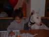 Bullterrier Foto: eins für mich,eins für dich... (ID 1678) Bullterrier Hund