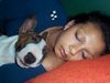 Bullterrier Foto: Nancy und Sam ..la li lu .. mond schaut zu.... (ID 29403) Bullterrier Hund