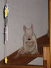 Bullterrier Foto: Duke ich will ins Bett kommt entlich (ID 26032) Bullterrier Hund