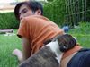 Bullterrier Foto: Bitte immer mit Kontakt! Momo und ich (ID 3938) Bullterrier Hund
