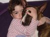 Bullterrier Foto: ..zwei Herzchen! (ID 10317) Bullterrier Hund