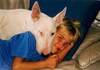 Bullterrier Foto: Sovereign`s Ablaze Destiny und Jennifer (ID 944) Bullterrier Hund