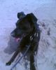 Ca de Bestiar Foto: Und noch mal die Kessi am Strand ,einfach ne Liebe! (ID 27129) Ca de Bestiar Hund