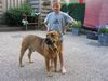 Ca de Bou Foto: Mortero and friend (ID 17176) Ca de Bou Hund
