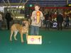 Ca de Bou Foto: Mortero and friend (ID 17146) Ca de Bou Hund