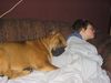 Ca de Bou Foto: Mortero and friend (ID 17145) Ca de Bou Hund