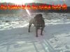 Ca de Bou Foto: Excellent Thru Type Ca de Bou (ID 18002) Ca de Bou Hund