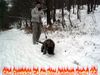 Ca de Bou Foto: Excellent Thru Type Ca de Bou (ID 17999) Ca de Bou Hund