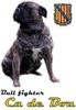 Ca de Bou Foto: Original Ca de Bou Che Guevara ca de bou Animus Fortis (ID 17047) Ca de Bou Hund