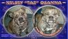 Ca de Bou Foto: Taz 2 years old (ID 17781) Ca de Bou Hund