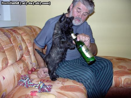 Cairn-Terrier Hunde Foto 7292 Cairn-Terrier Hat Kimba Durst?