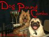Cairn-Terrier Foto: Rebel and his brother Robi enjoying a drink (ID 13774) Cairn-Terrier Hund