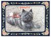 Cairn-Terrier Foto: Mal ganz lieb... (ID 6969) Cairn-Terrier Hund