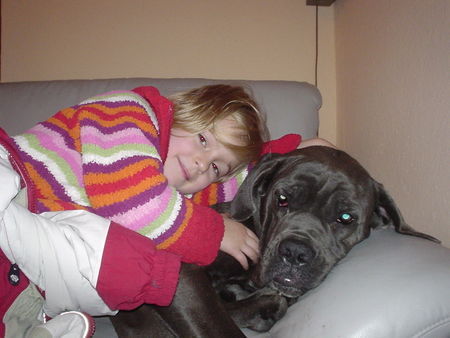 Cane Corso Hunde Foto 27517 in höherer Auflösung ansehen Cane Corso Mein bester Freund und ich ;o)