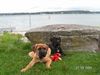 Cane Corso Foto: Zeus & Sharon (ID 16652) Cane Corso Hund