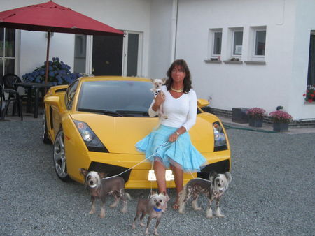 Chinesischer Schopfhund Hairless-Schlag Hunde Foto 30193 Chinesischer Schopfhund Hairless-Schlag Chinese Cresteds
