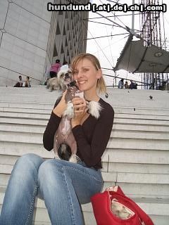 Chinesischer Schopfhund Hairless-Schlag Hunde Foto 26611 in höherer Auflösung ansehen Chinesischer Schopfhund Hairless-Schlag Sandy mit Frauchen in Paris