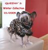 Chinesischer Schopfhund Hairless-Schlag Hund