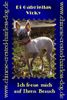 Chinesischer Schopfhund Hairless-Schlag Foto: Di Gabirellas Vicky im Januar 2003 (ID 2121) Chinesischer Schopfhund Hairless-Schlag Hund