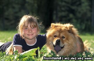 Chow-Chow Barka vom Felsenturm (Rufname Gina)