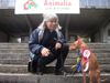Cirneco dell´ Etna Foto: Animalia '04 Lausanne CH (ID 15689) Cirneco dell´ Etna Hund