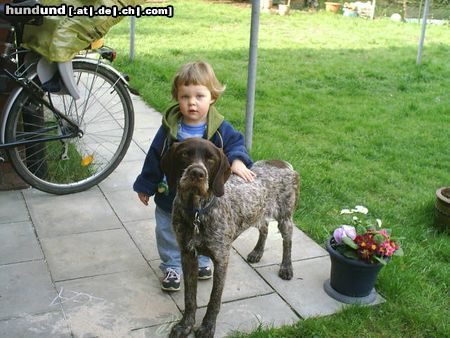 Deutsch Drahthaar Hunde Foto 13276 Deutsch Drahthaar Till (1,5 Jahre) mit meiner 2 jährigen Tochter Lea