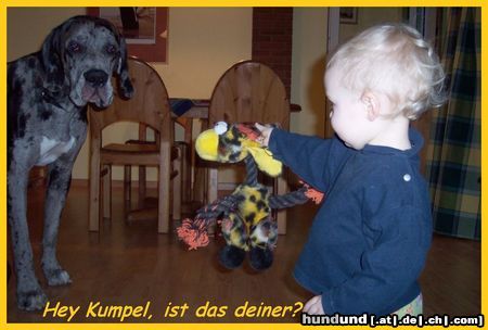 Deutsche Dogge Hunde Foto 9370 Deutsche Dogge Hey Kumpel, ist das deiner?