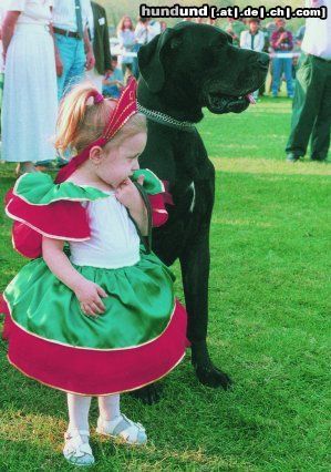 Deutsche Dogge Hunde Foto 18312 in höherer Auflösung ansehen Deutsche Dogge Anna und Roxy