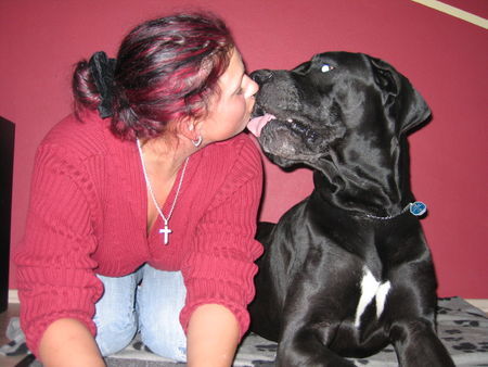 Deutsche Dogge Hunde Foto 36928 Deutsche Dogge Mmmmmm lecker Kuss!!!