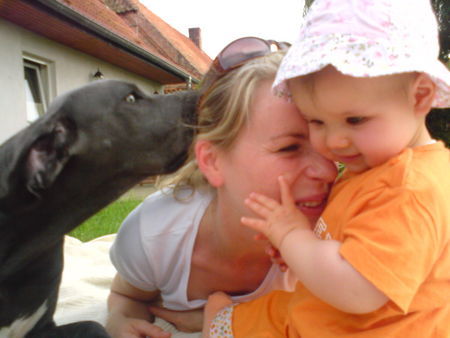 Deutsche Dogge Hunde Foto 38915 Deutsche Dogge Wir 3 haben uns sooo lieb! Liebste Grüße an Franka...wuff!!!