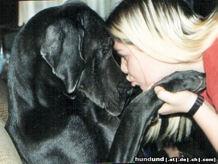 Deutsche Dogge Hunde Foto 8675 Deutsche Dogge Meine Tochter mit Akira