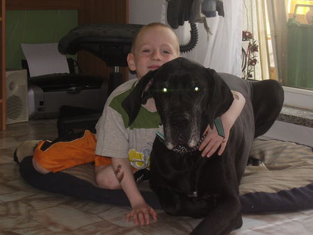 Deutsche Dogge Hunde Foto 30895 Deutsche Dogge Unzertrennliche Freunde