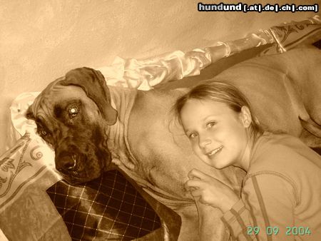 Deutsche Dogge Hunde Foto 21805 Deutsche Dogge Unser Zauberbienchen& Tochter Vivien