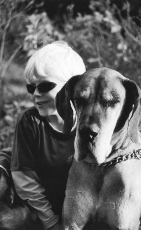 Deutsche Dogge Hunde Foto 42715 in höherer Auflösung ansehen Deutsche Dogge gelbe Dogge Biene