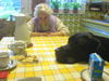 Deutsche Dogge Foto: Bekomme ich ein Lecker? (ID 40641) Deutsche Dogge Hund