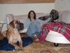 Deutsche Dogge Foto: Luna + Merlin (ID 8631) Deutsche Dogge Hund