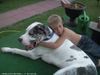 Deutsche Dogge Foto: Rocky liebt kinder und sie lieben ihn;-) (ID 42662) Deutsche Dogge Hund
